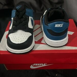 Brand new Nike low dunks